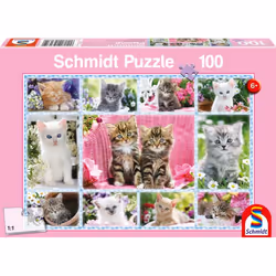 Schmidt Spiele 56135, 100 pz, Fauna, 6 anno/i