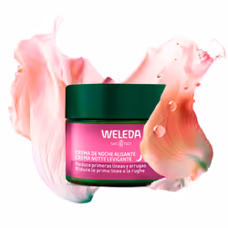 Smoothing Crema notte levigante alla rosa canina e tè bianco 40 ml