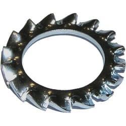 Dresselhaus WGR 1668/001/51 100 pz Rondella di fissaggio Acciaio galvanizzato
