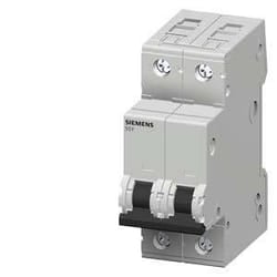 Siemens 5SY45106 non classificato