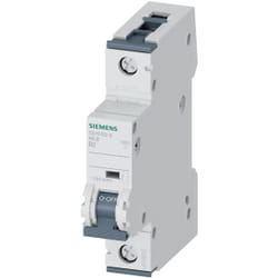 Siemens 5SY6102-6 non classificato