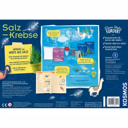 Kosmos 63326 giocattolo e kit di scienza per bambini