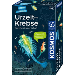 Kosmos 65787