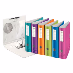 Leitz 11060099, A4, Doppio anello, Conservazione, Polyfoam, Multicolore, Bianco