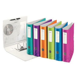 Leitz 11060099 raccoglitore ad anelli A4 Multicolore