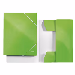 Leitz 39820054 cartella Cartone, Polipropilene (PP) Verde A4