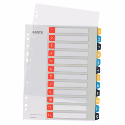 Leitz 12480000, Indice a linguetta numerico, Polipropilene (PP), Ritratto, A4 Maxi, 245 mm, 305 mm