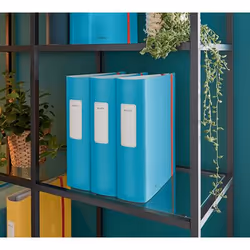 Leitz 10380061 raccoglitore ad anelli A4 Blu
