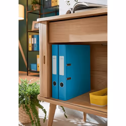 Leitz 10620061 raccoglitore ad anelli A4 Blu