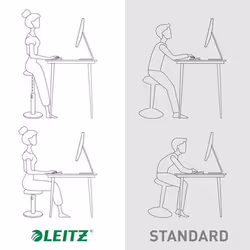 Leitz Ergo Cosy Active Seduta imbottita - Vista aggiuntiva 6