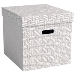 Leitz VON 61430001 scatola di conservazione Armadietto portaoggetti Rettangolare Cartoncino Bianco