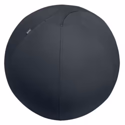 Leitz Active Sitzball 55cm, Grigio, Tessuto, Interno, Sfera, 150 kg, 650 mm