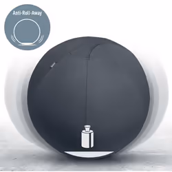 Leitz Active Sitzball 55cm Grigio Interno Sfera