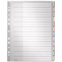 Leitz 12730000, Indice a linguetta vuota, Cartoncino, Polipropilene (PP), Grigio, Ritratto, A4, 240 mm