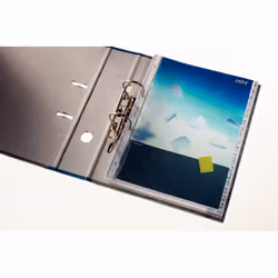 Leitz 12310085 intercalare Indice a linguetta numerico Carta Grigio - Vista aggiuntiva 2