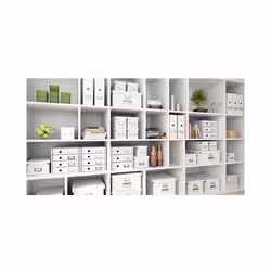 Leitz Cassettiera Click & Store