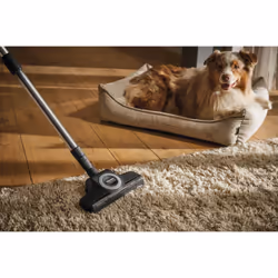 Miele STB 305-3 TurboTeQ - Vista aggiuntiva 2