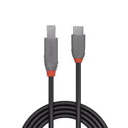 Lindy 36665 cavo USB USB 3.2 Gen 1 (3.1 Gen 1) 0,5 m USB C USB B Nero - Vista aggiuntiva 2