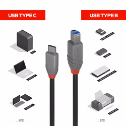 Lindy 36665 cavo USB USB 3.2 Gen 1 (3.1 Gen 1) 0,5 m USB C USB B Nero - Vista aggiuntiva 4
