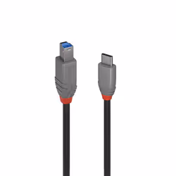 Lindy 36666, 1 m, USB C, USB B, USB 3.2 Gen 1 (3.1 Gen 1), Nero
