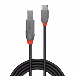 Lindy 36942 cavo USB USB 2.0 2 m USB C USB B Nero