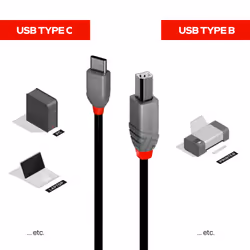 Lindy 36942 cavo USB USB 2.0 2 m USB C USB B Nero