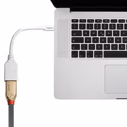 Lindy 41021 cavo DisplayPort 0,15 m Mini DisplayPort Bianco