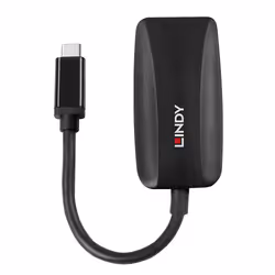 Lindy 43337 cavo e adattatore video 0,13 m USB tipo-C DisplayPort Nero - Vista aggiuntiva 2