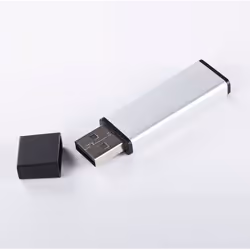 xlyne ALU unità flash USB 2 GB USB tipo A 2.0 Nero, Argento