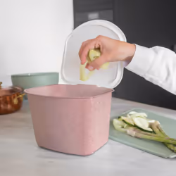 koziol Bibo 1 cestello/i Termoplastica Rosa