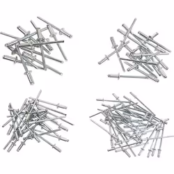 Dettagli tecnici Contenuto 600 KIT Tipo prodotto Assortimento di rivetti Assortimento da 600 pezzi: rivetti ciechi misti Asso ...