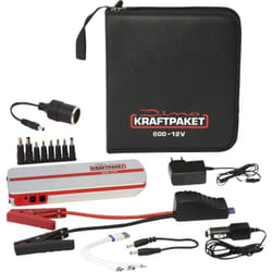 Dino Kraftpaket - Sistema di accensione rapido 136102 Corrente d'avviamento ausiliaria (12 V)=300 a 2 x Uscita 12V, 2 x p