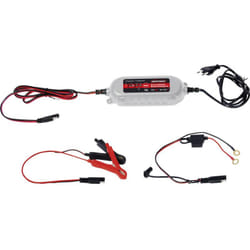 Dino Kraftpaket - 136315 Caricatore automatico 12 v, 6 v 1 a 1 a