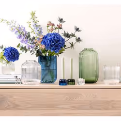 Villeroy & Boch 1173360948 vaso Vaso a forma rotonda Vetro Trasparente