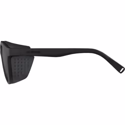 Alpina Sports GLACE Occhiali multiuso Unisex Montatura piena Nero - Vista aggiuntiva 3