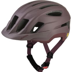 Alpina Sports PARANUS Marrone