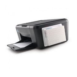 Exponent 16/800.20.50 filtro d'aria 2 pz