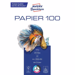 Avery 2566-250 carta inkjet A4 (210x297 mm) 250 fogli Bianco
