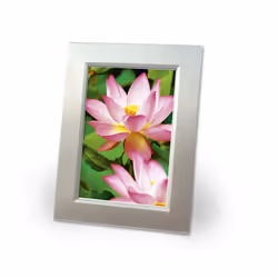 Avery Premium Inkjet, A4, 300g Bianco Molto lucida