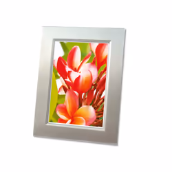 Avery Premium Inkjet Fotopapier carta inkjet A4 (210x297 mm) Molto lucida 20 fogli Bianco