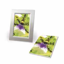 Avery Premium Inkjet A4 250g Bianco Satinata opaca