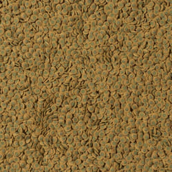 Pleco VeggieWafer - Formato: 250 ml - Tetra