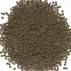 Prodotto: Tetra Goldfish Gold Colour Informazioni: Formula ricca di alga Spirulina e di Carotenoidi per accentuare la coloraz ...