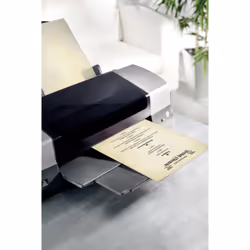 Sigel DP983 non classificato - Vista aggiuntiva 6