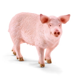 schleich Farm Life 13782 action figure giocattolo