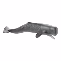 schleich WILD LIFE 14764, 3 anno/i, Multicolore, Plastica, 1 pz