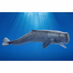 schleich WILD LIFE 14764 action figure giocattolo
