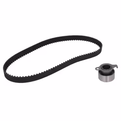 Set di cinghie di distribuzione INA 530 0310 10