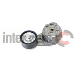 Tenditore della cinghia Poly-V INA 534 0087 20