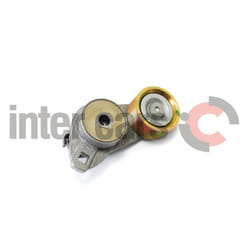 Tenditore della cinghia Poly-V INA 534 0090 20